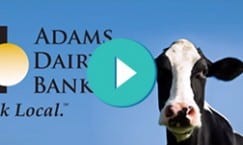 Video ADB THUMB