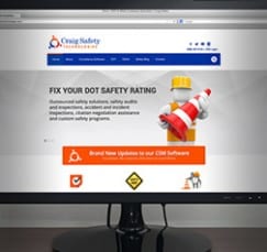 CST web THUMB