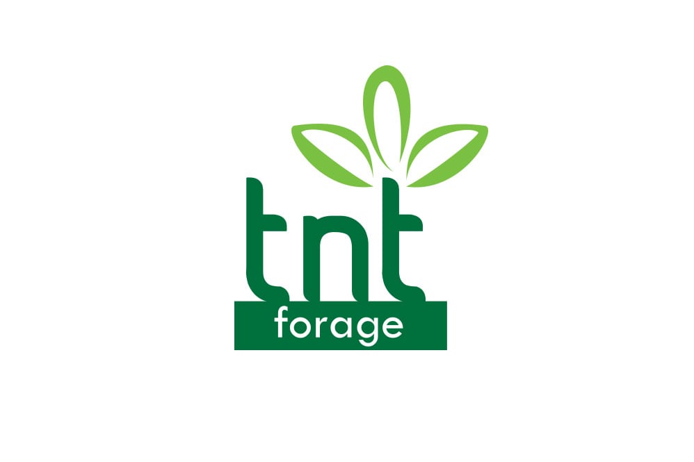 TNT logo