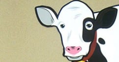 ADB cash cow THUMB