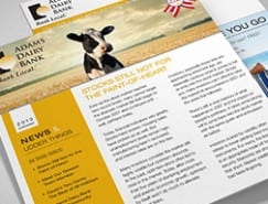 ADB newsletter THUMB