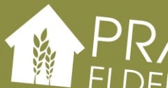 PEC logo THUMB