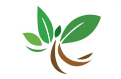 PHSD17 581 WellnessBrochure thumbnail