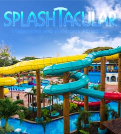 SPLAWebsite thumb