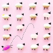 Sheep 2