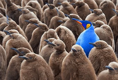 Featured image for “The Importance of Brand Positioning in Marketing a New Business”