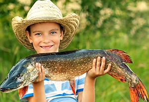 Featured image for “IP Targeting & Direct Mail Tracking: The Marketing Equivalent of Shooting Fish in a Barrel”